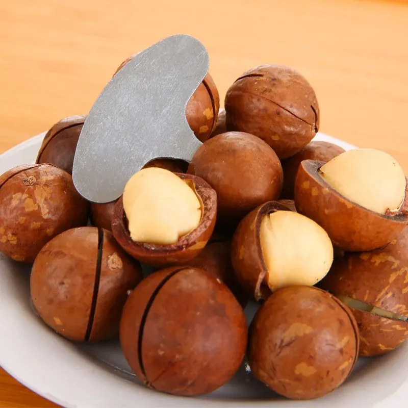 2024 Mini Nut Crackers Stainless Steel Macadamia Walnut Opener Portable Camping Kitchen Accessories Nut Tools