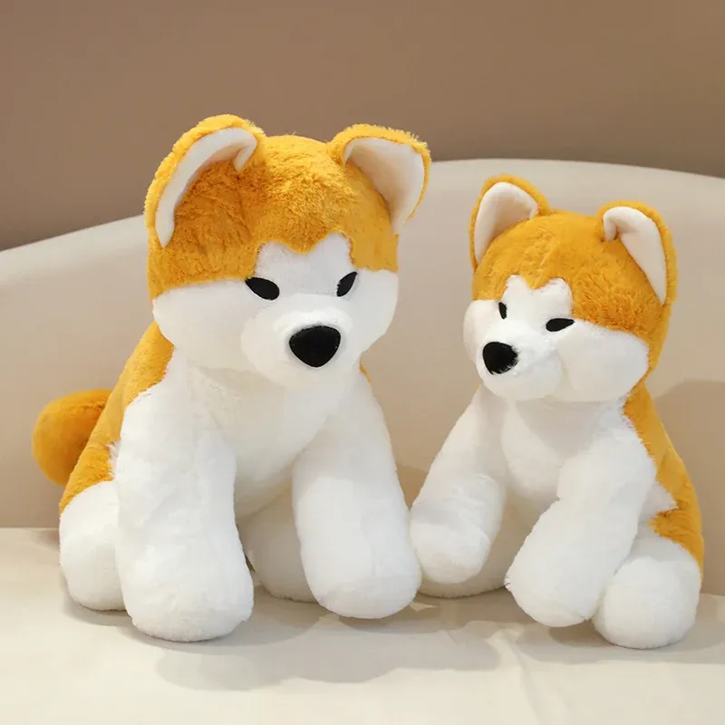 Kuddar 35/45 cm simulering akita hund plysch leksak fylld livtrogen shiba inu hund mjuk kudde husdjur dolls barn pojkar flickor födelsedag present dekorera