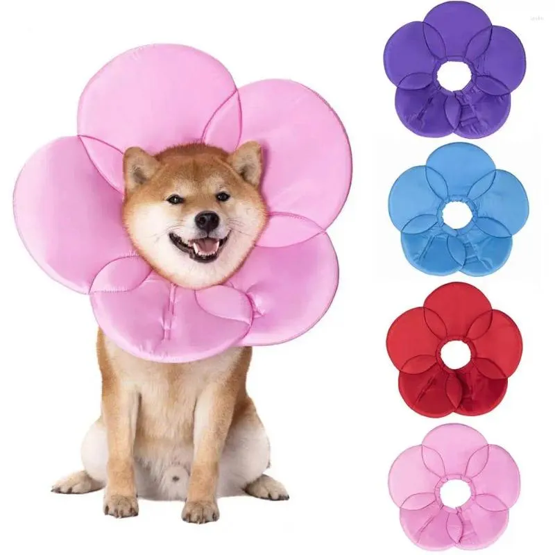 Vêtements pour chiens Collier de récupération pour animaux de compagnie redimensionnable tissu doux réglable confortable à porter couture ferme anti-rayures prévenir l'infection fleur sh