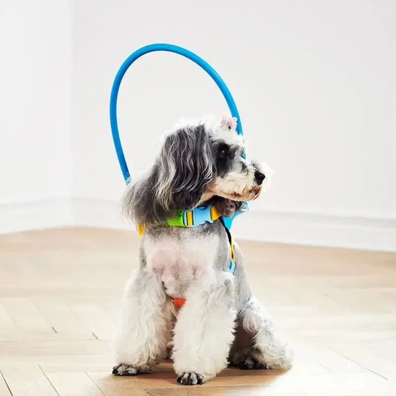 Leashes New Blind Dog Collar Justerbar skyddsring PET -vägledningsanordning för att förhindra kollisionsbuild förtroende xxs s
