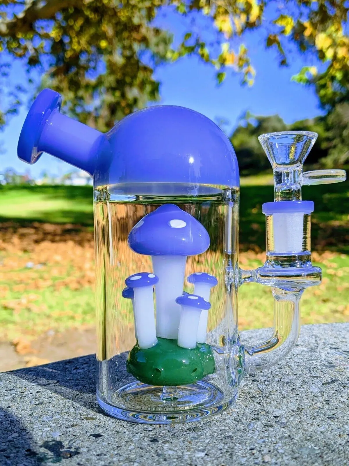 6 Inches Blue Capsule Mushroom Perc Premium Quality Water Pipe Hookah Bubbler Bong with 14mm Bowl
