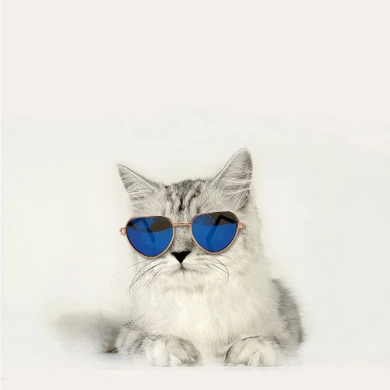 反射的なクールなハートシェイプペットメガネ子犬子猫ペットおもしろいアイウェアグラス