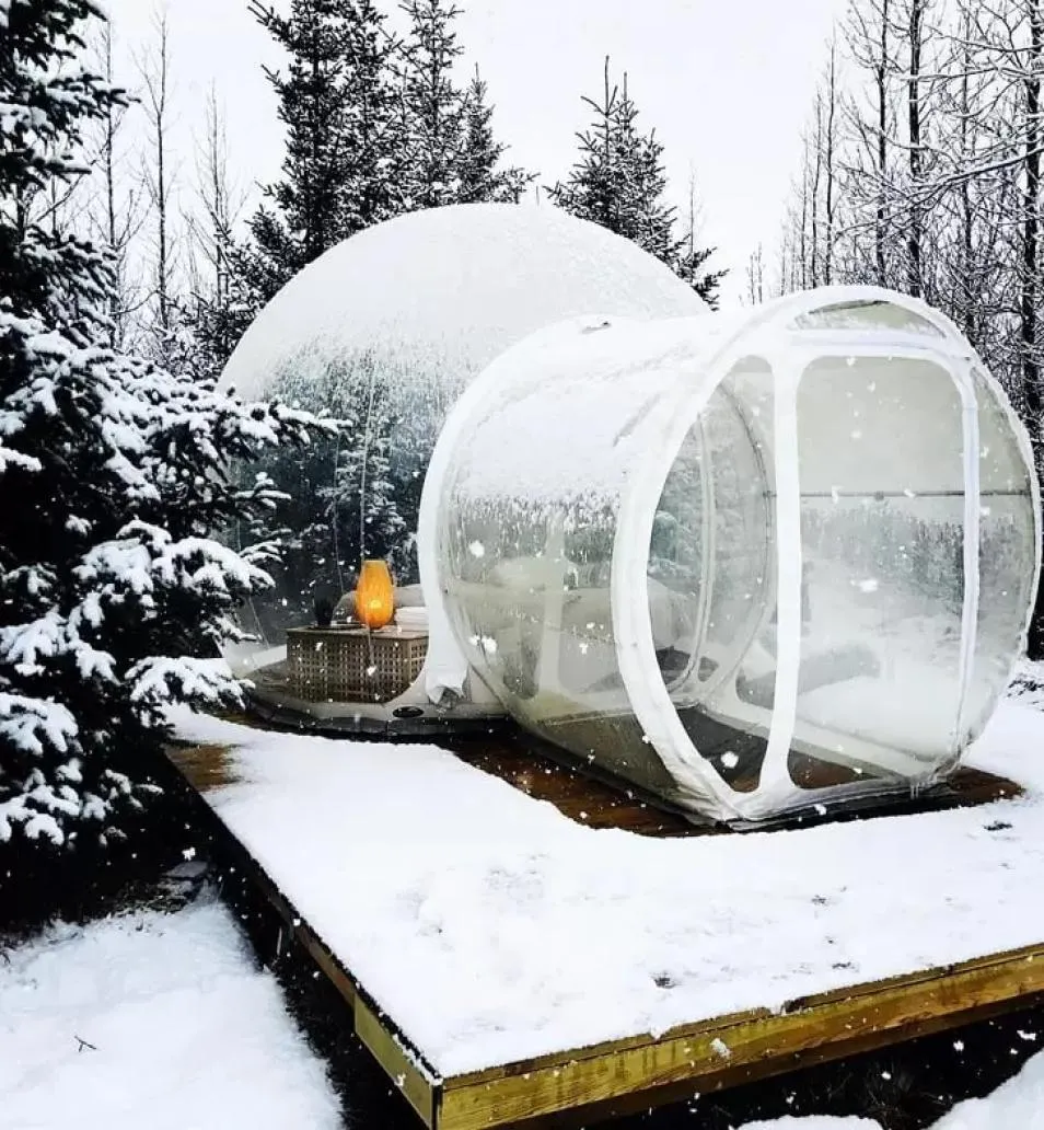 Arbre à bulles gonflable avec souffleur, balançoire directe d'usine, 3M de diamètre, pour tente de Camping Igloo de jardin publicitaire D4051708