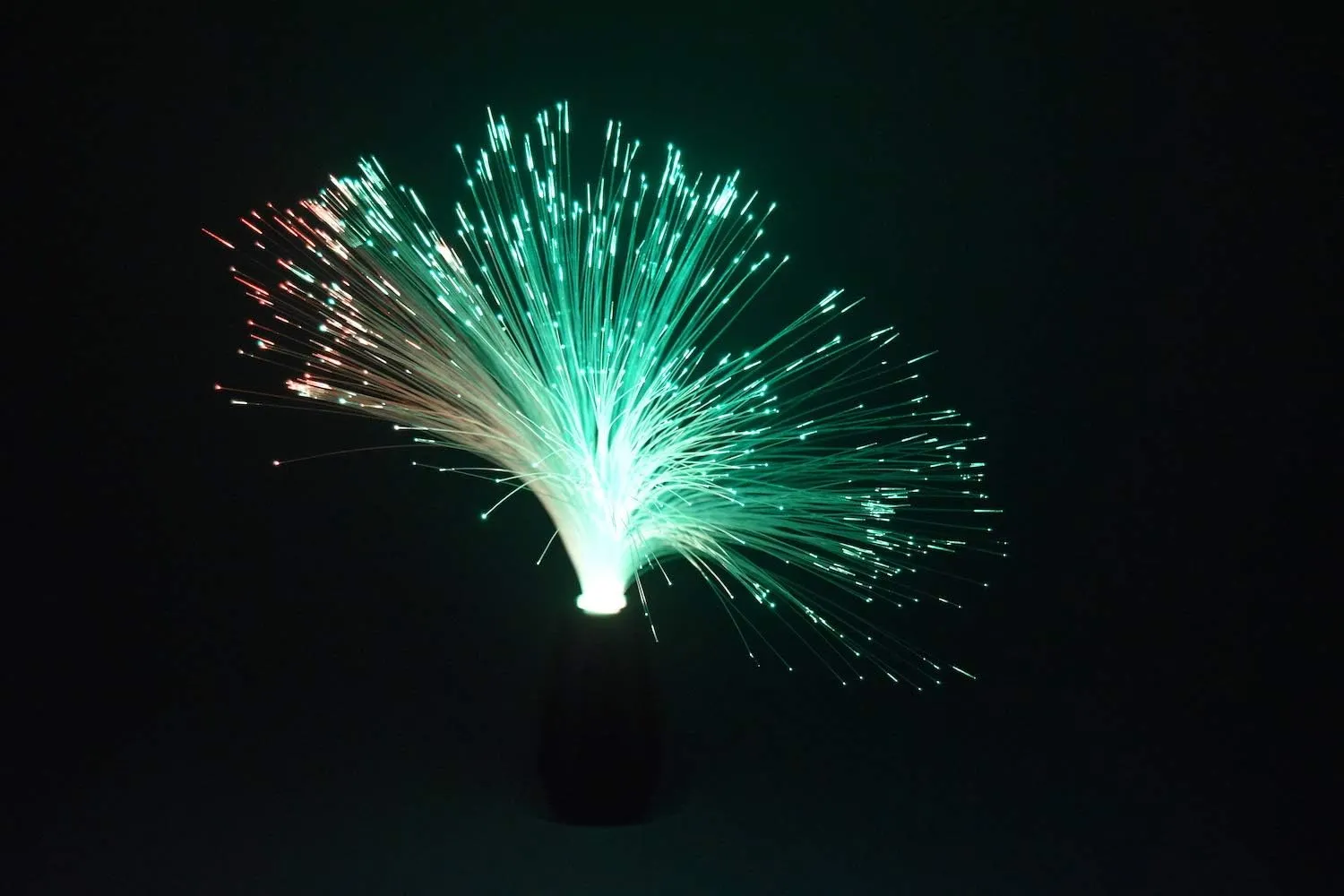 Luce in fibra a LED a più modalità a più colori