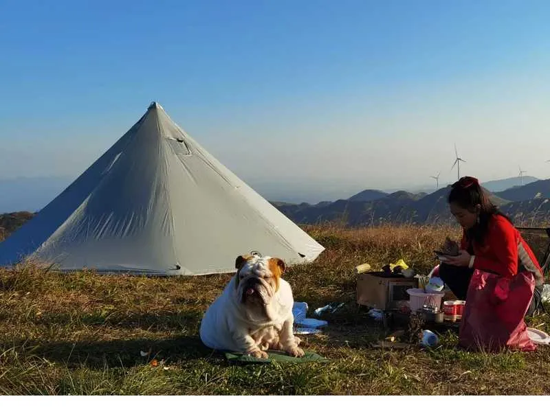 Aricxi Ultra Light 3 4 Person Outdoor Camping Tent With 20D