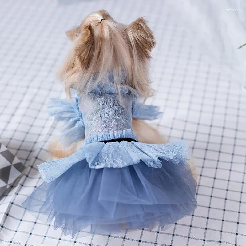 Vêtements de chien robe à la main été petits vêtements Teddy maltais Yorkshire Schnauzer chat chiot jupe pour animaux de compagnie Tutu robes de princesse