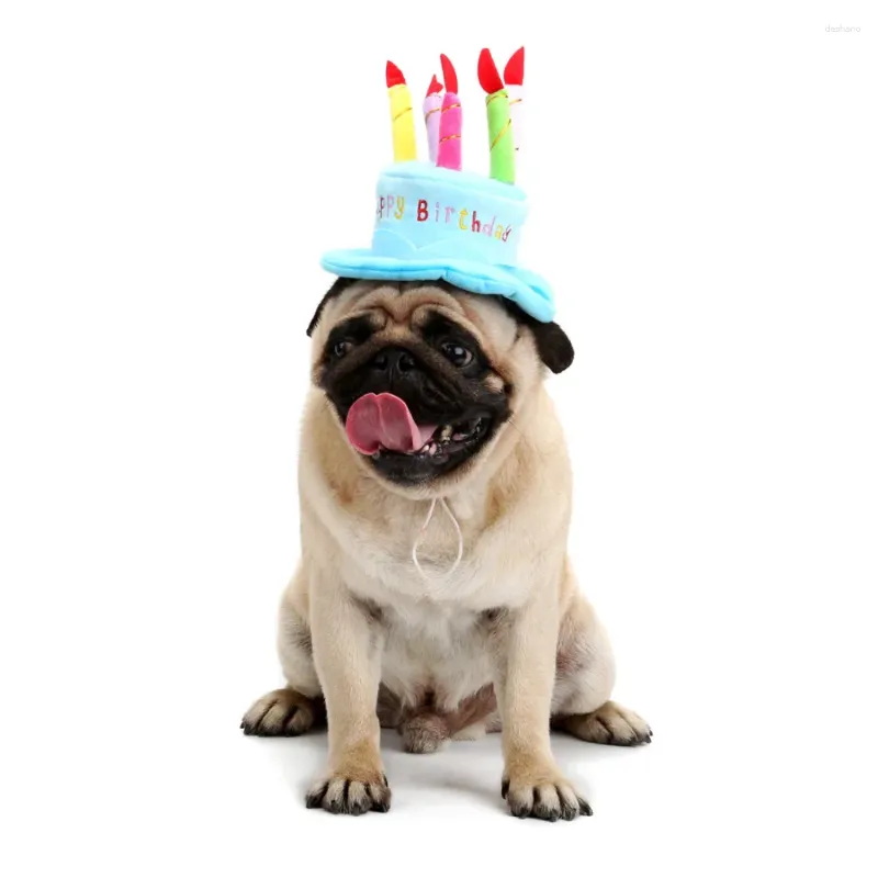 Vêtements pour chiens 2024 Accessoires d'anniversaire Chapeau pour animaux de compagnie Gâteau Personnalité Fourniture