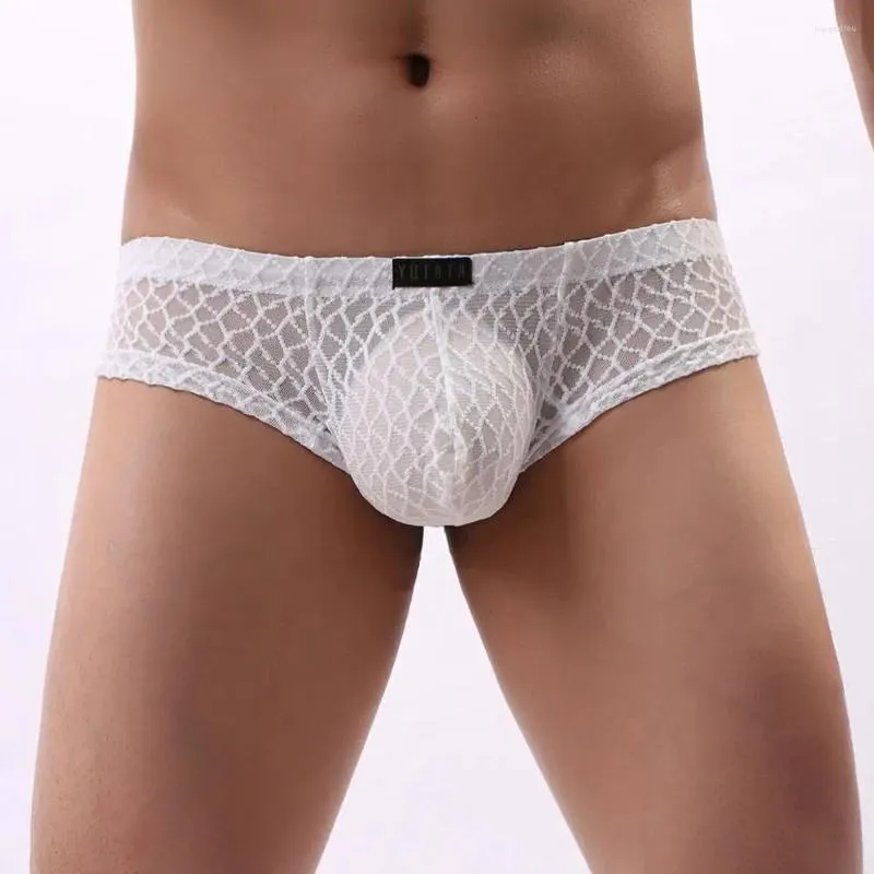 Underpants Howe Ray Malha Transparente Underwear Homens Briefs Sexy Masculino Ver através de Calcinha Penis Bolsa Lace Cintura Baixa Respirável