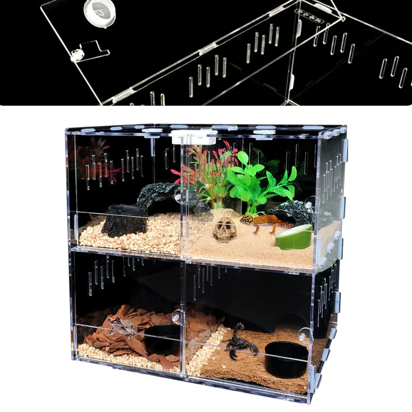 テラリウム4グリッドアクリルペットトカゲクローリングボックス爬虫類タンク昆虫クモトカゲの繁殖