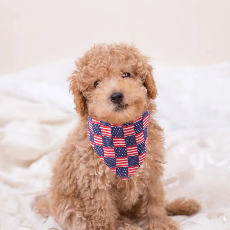 Dog Apparel Puppy American Flag Pet Bandana Independence Day Triangular Party Bib Holiday Decor