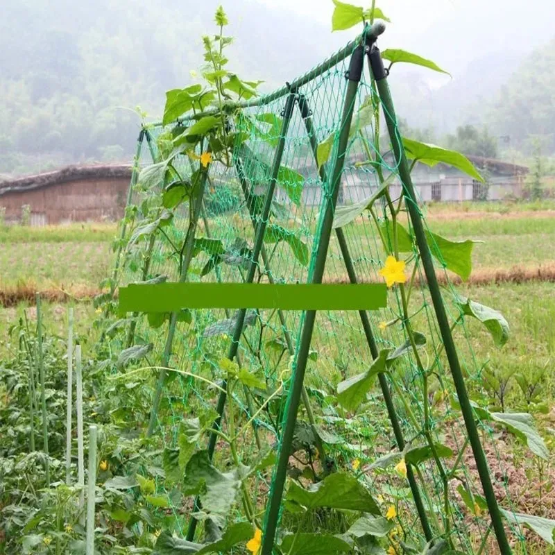 Nouveau 2024 Nylon Mesh Horticulture Plant Crawl Net Loofah Morning Glory Cucumber Vine Grow Harder Crawl Farm Gardening Network pour le jardin pour