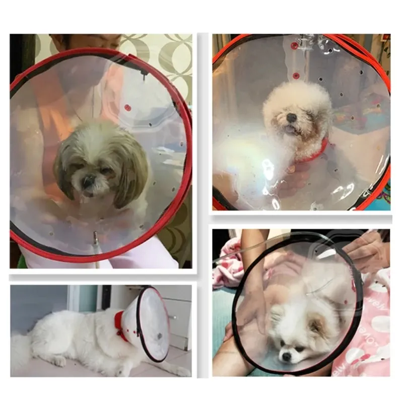 Instruments sécurité chien masque à oxygène morsure prévenir petit moyen chaton masque de sauvetage fournitures pour animaux de compagnie