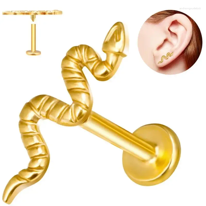 Boucles d'oreilles à tige, bijoux de perçage pour Lobe Tragus, titane, cartilage hypoallergénique, filetage interne, dos plat sans nickel