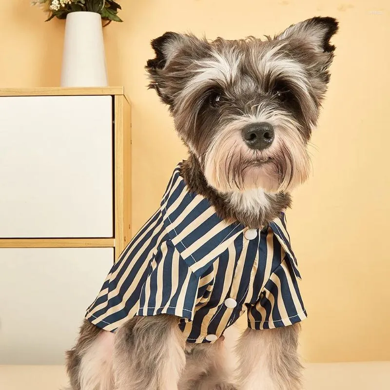 Köpek giyim İngiliz mizaç çizgili evcil hayvan giyim modaya uygun gömlek