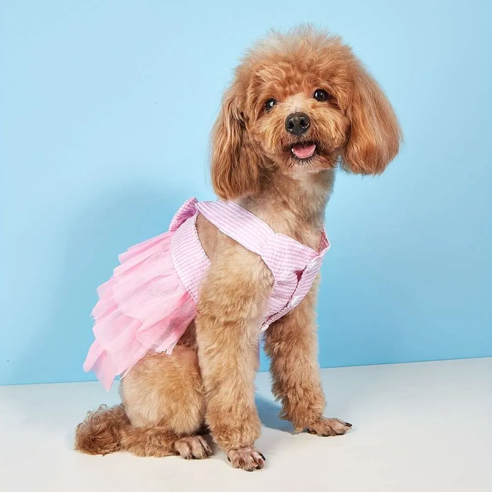 Robes d'été pour chien avec maille, nœuds, jupes tutus en dentelle – Parfaites pour votre chiot princesse