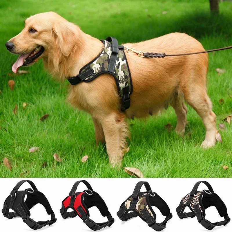 Leases Nylon Heavy Duty Dog Pet Harness Collar Padded Extra STORA MEDA MEDA LITA DUG -SYCES Väst husky hundar