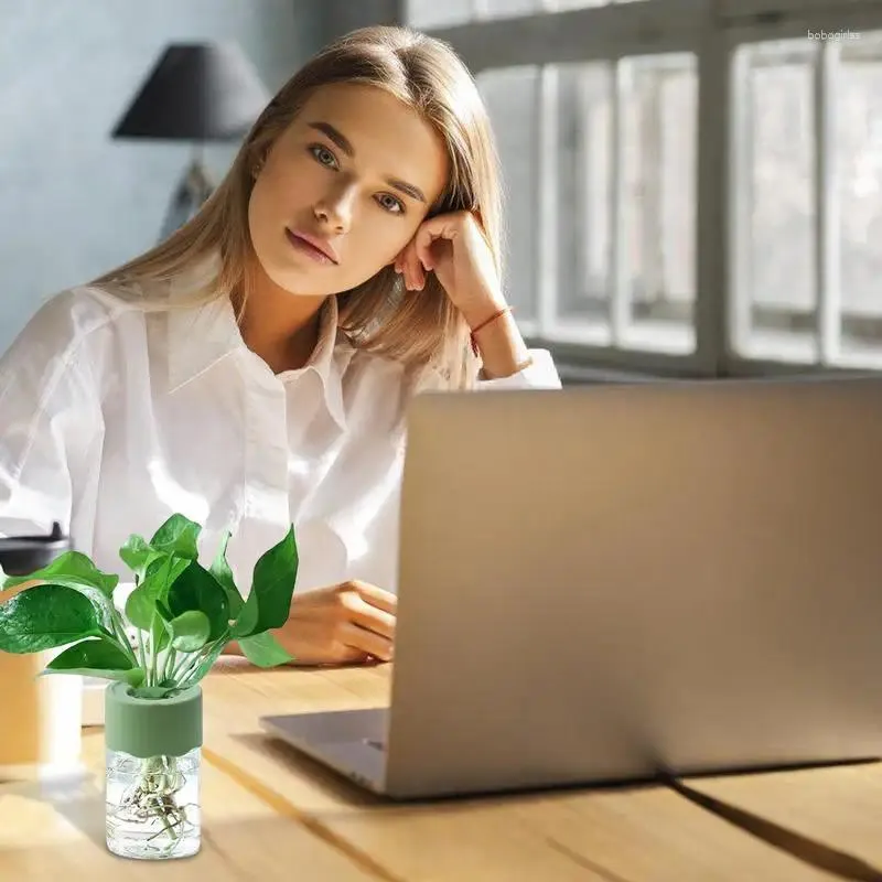 Vasi Vaso da fiori idroponico pigro Vasi per piante fuori suolo trasparenti in vetro imitazione automatico che assorbono l'acqua Verde