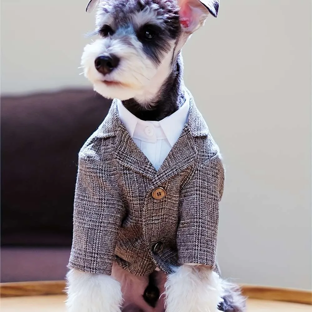 Plaid Pet Suit Jacket For Weddings And Formal Events Dog And Cat Design From Ddmygifts, $17.79 | DHgate.Com plaid-pet-suit-jacket-for-weddings-and-formal-events-dog-and-cat-design-from-ddmygifts-17-79-dhgate-com