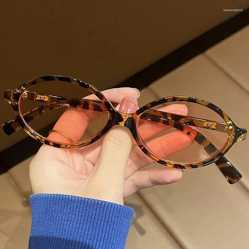Солнцезащитные очки женщины отделили оптические очки для зрелищ