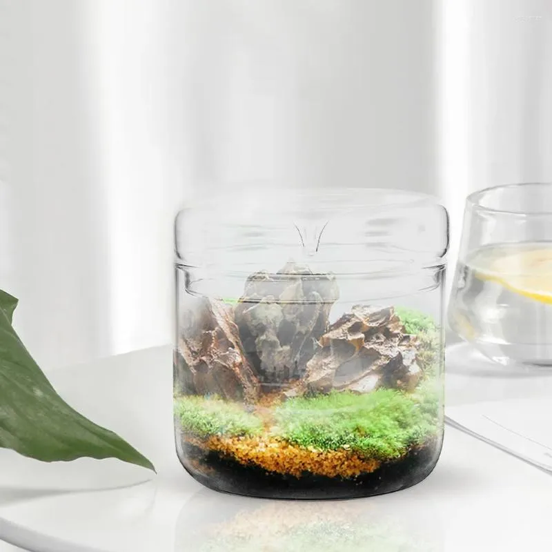 Vasos micro paisagem plantas recipiente garrafa ecológica vidro vazio terrário vaso diy musgo desktop microlandscape