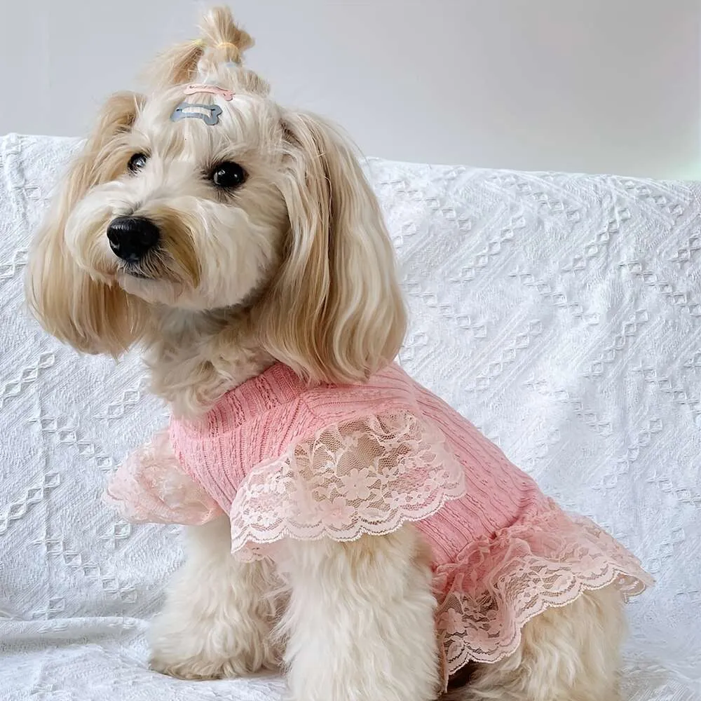 1PC愛らしい堅実なペットフライングスリーブドレス：通気性のあるラウンジウェア犬猫 - 夏のパーティーに最適