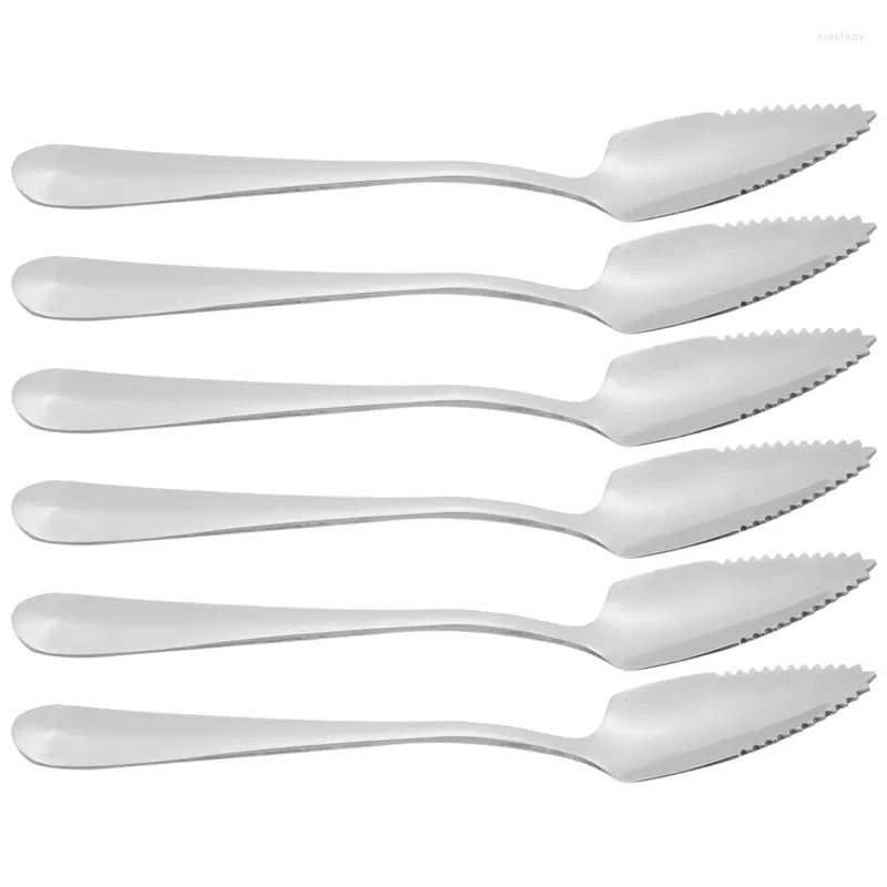 Set di stoviglie ABSF Set da 6 pezzi di utensili da tavola per pompelmo seghettato in acciaio inossidabile di grado cucchiaio da dessert