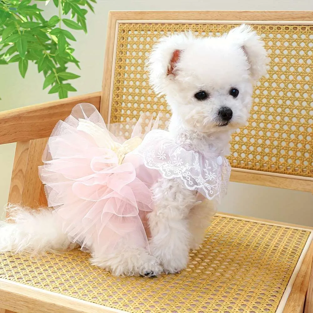 Pet Dog Skirt Dress Classic Plaid Coat Six-piece Set for Holiday Occasions