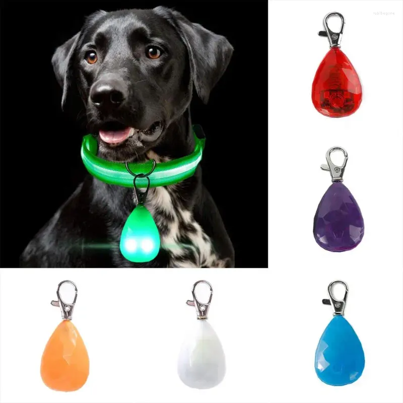 Collari per cani Lampada da notte a LED per animali domestici Ciondolo impermeabile durevole anti-smarrimento con fibbia appesa Flash veloce stabile