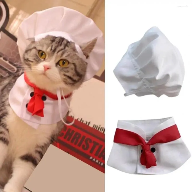 Trajes de gato cosplay adereços chef chapéu conjunto macio acessórios para animais de estimação poliéster cozinhar rei cão transformação vestido