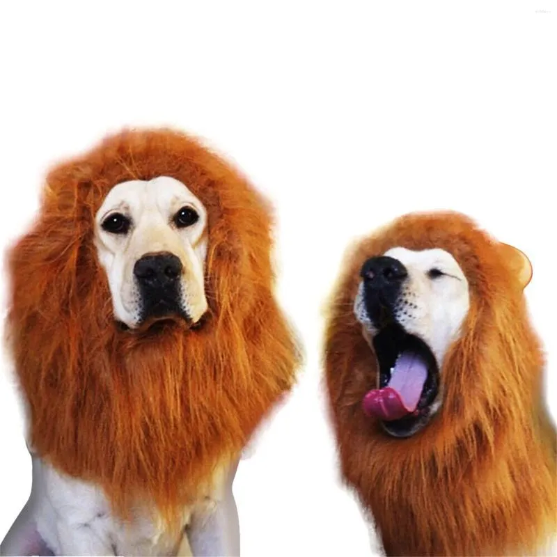 Vêtements de chien drôle Lion Mane perruque couvre-chef chapeau avec oreille Halloween Festival fête décor mignon animal de compagnie cosplay transfiguration costume accessoire