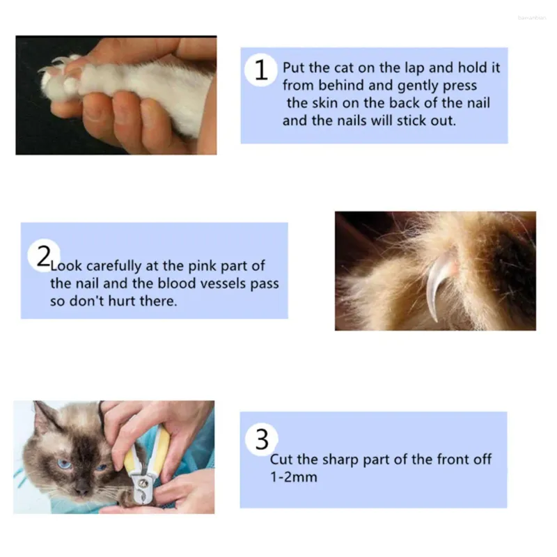 ملابس الكلاب الصلب الأظافر فيلر pet pet مقص المقص Cat Supplies Clippers.