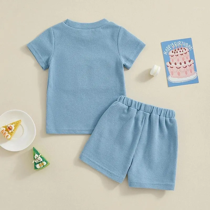 Clothing Sets Toddler Baby Boy Birthday Outfit One Two Embroidery Short Sleeve T-shirt Shorts 2Pcs Waffle Summer Clothes