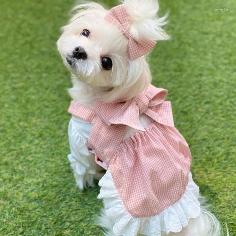 Vêtements pour chiens printemps été robe chemise jupe chat Yorkshire poméranien Shih Tzu caniche maltais Bichon Schnauzer vêtements chiot vêtements