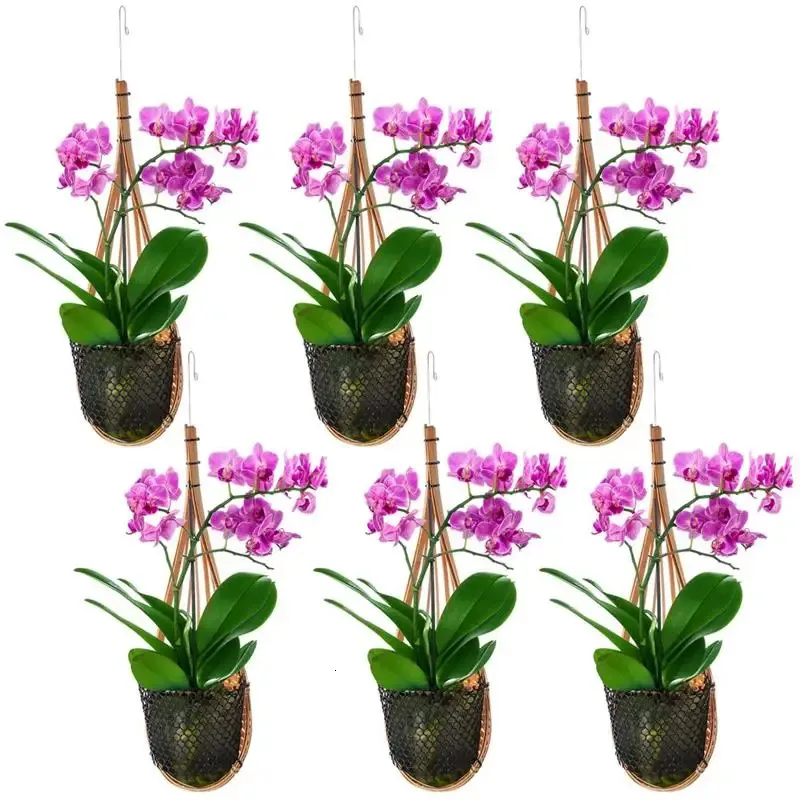 6 pezzi appesi cesto di orchidee cestini intrecciati di fiori stile nido di uccelli grucce per piante intrecciate a mano in bambù tailandese 240318