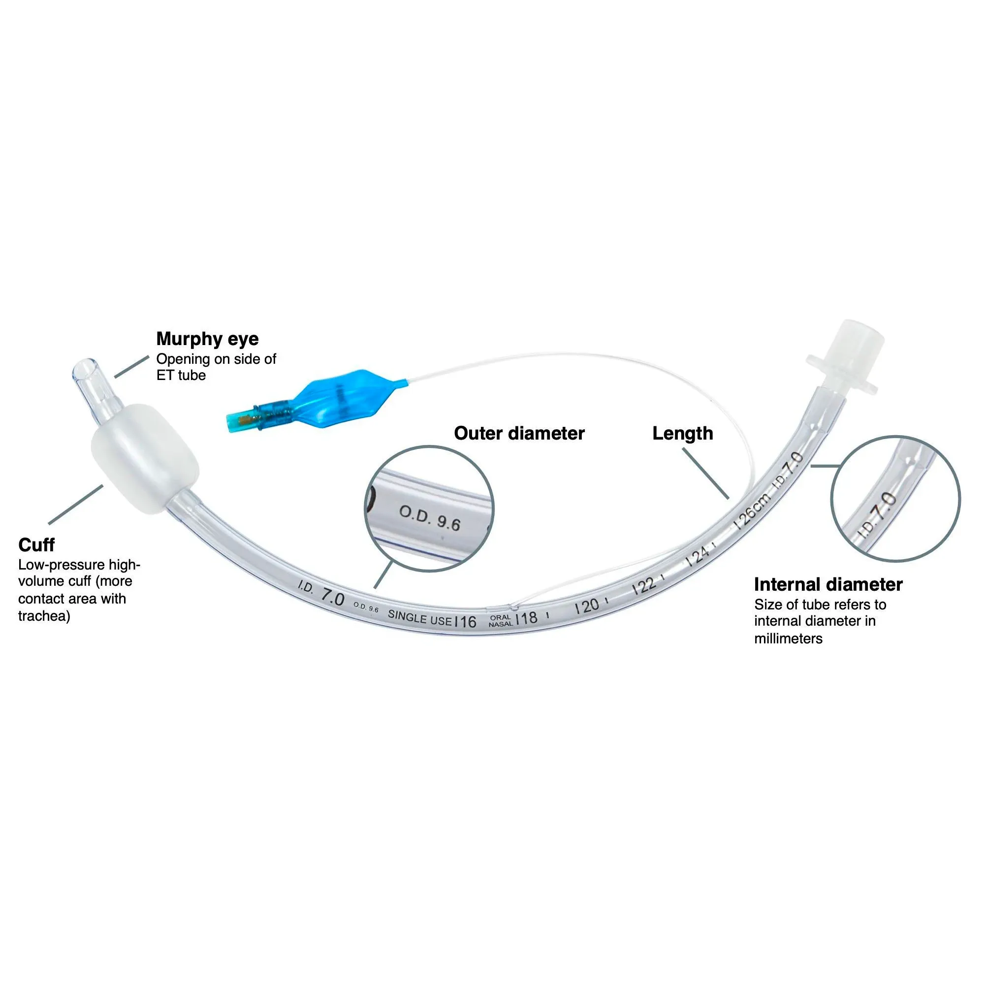 Instrumenten Huisdier intubatie beugel 304 Roestvrij Stalen Rek Muur Opknoping Frame Voor Endotracheale Buizen Veterinaria Apparatuur