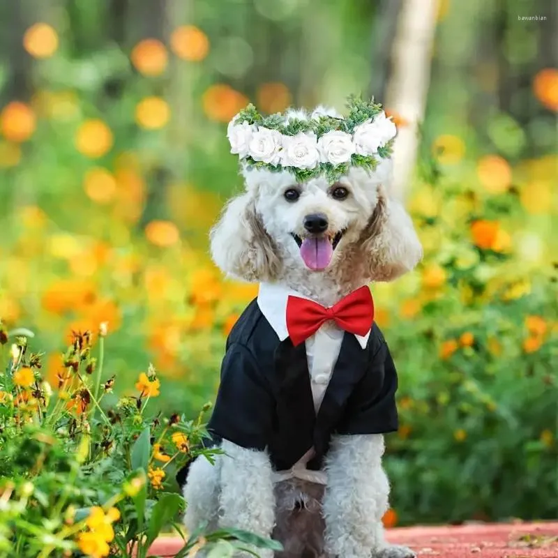 Abbigliamento per cani Collare per fiori da sposa Anello Morbido e confortevole regolabile Simulazione per animali Ghirlanda Ghirlanda artificiale Puntelli