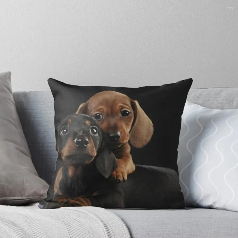 Oreiller Teckel Chien Portrait Po Chiots Coussins Décor Maison Couvre Taies D'oreiller Pour