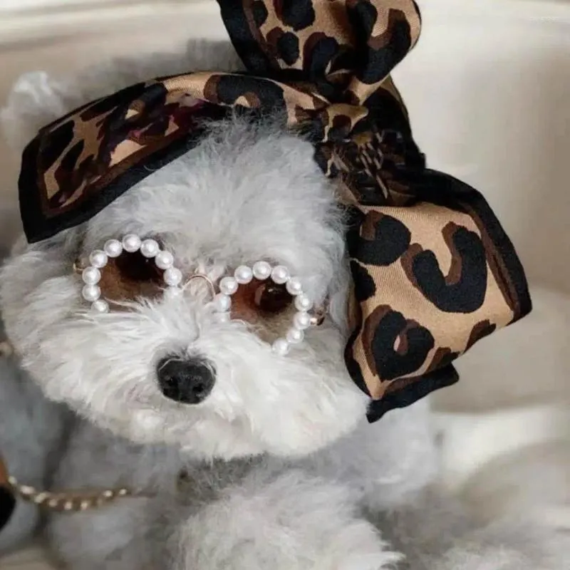 Hundkläder kattglasögon attraktiv all- plast coola små mode runda solglasögon långvariga