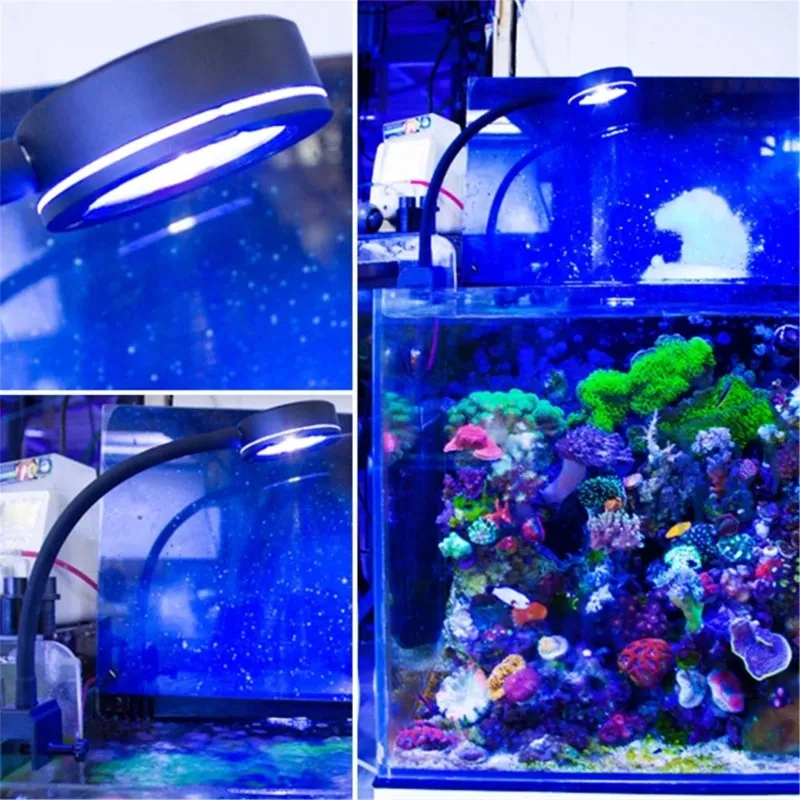 K5DC lumière LED pour Aquarium marin pour la culture de plantes pour les réservoirs de récif corail d'eau salée-poisson lumière LED Marine 12W éclairage 240314