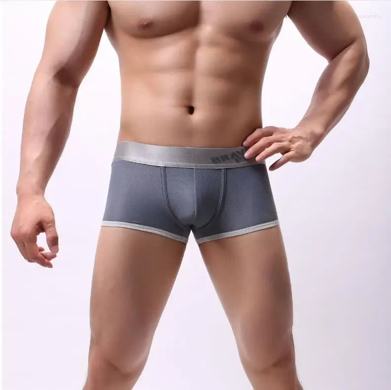 Underbyxor märke herr underkläder nylon fasta färg män trosor låg midja sexig för man 2024