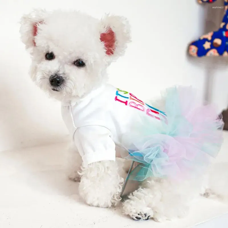Vêtements pour chiens Col rond Lettre décorative à deux pattes Impression Pet Puppy Anniversaire Princesse Robe Fournitures