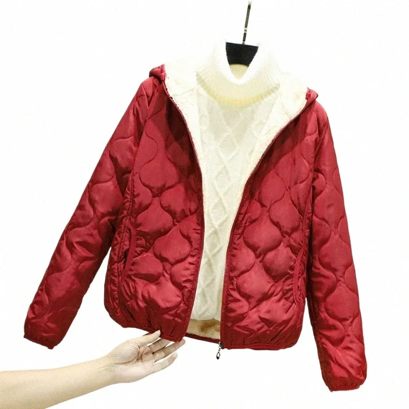 2023 Automne et hiver Nouveau manteau en laine d'agneau pour femme Manteau court en coton Plus Veet Veste légère rembourrée en coton Q5iP #