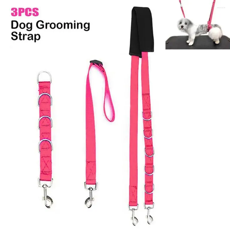 Kit de corde de toilettage pour animaux de compagnie, vêtements pour chiens, avec sangle d'extension réglable, laisse multifonctionnelle pour animaux de compagnie