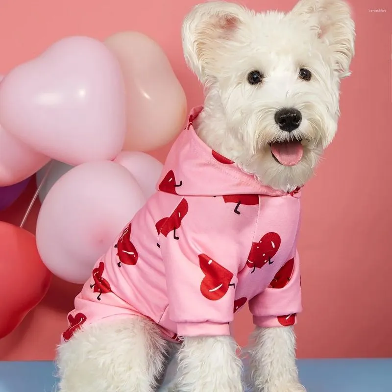 Vêtements pour chiens Cutie Hearts Pet SweaterShirt Saint Valentin Sweats à capuche mignon chiot Costume vêtements pour petits chiens chats animaux de compagnie