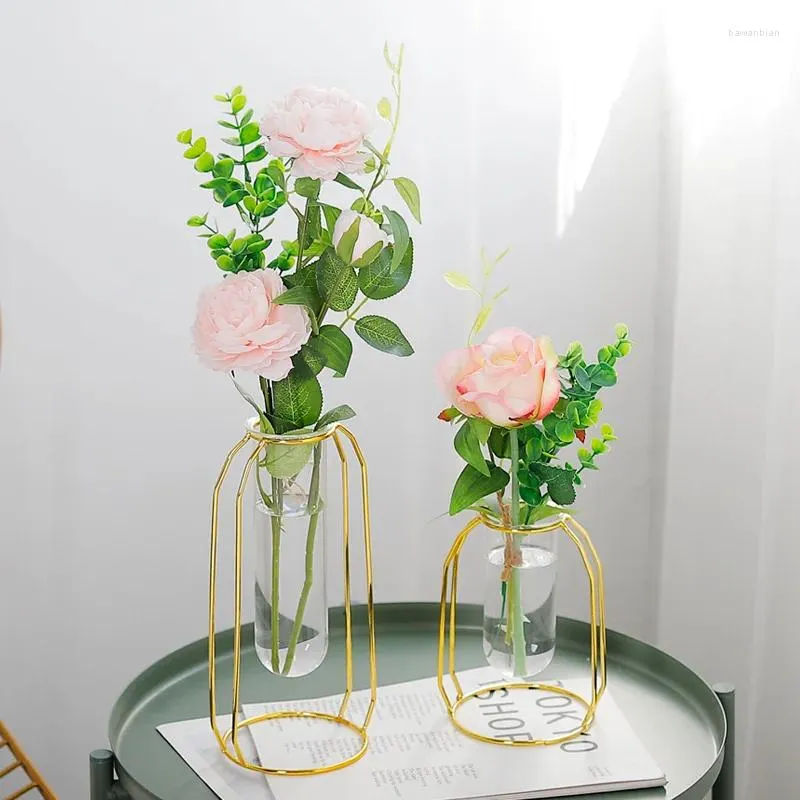 Vasos Geométrico Ferro Transparente Vaso Hidropônico Sala de estar Decoração Mesa para Flores Plantas Decoração de Casa