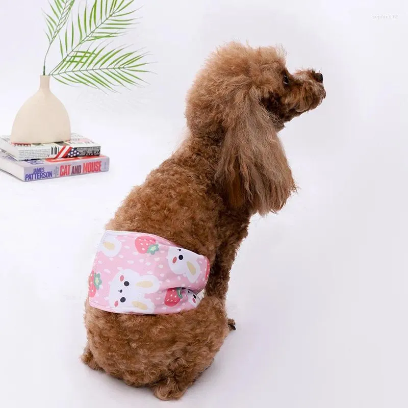 Hundebekleidung waschbare männliche Shorts verhindern, dass Betthautbetthauthose Haustier Unterwäsche Sanitär Höschen Verstellbare Windeln für Welpen