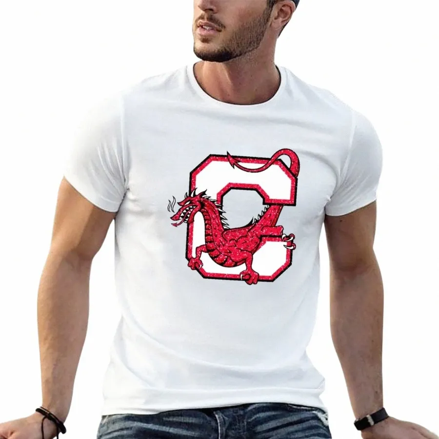 SUNY CORTLAND Tシャツ美学服かわいい服メンズプレーンTシャツo8si＃