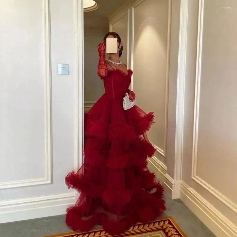 Elegant Formal Occasion A-Line Tulle Dress for Women with Pleated Ruched  Design and Hooded Collar, Floor-Length Winter Evening Gown from Dhgate  Urban Sexy Dresses - price 145.75