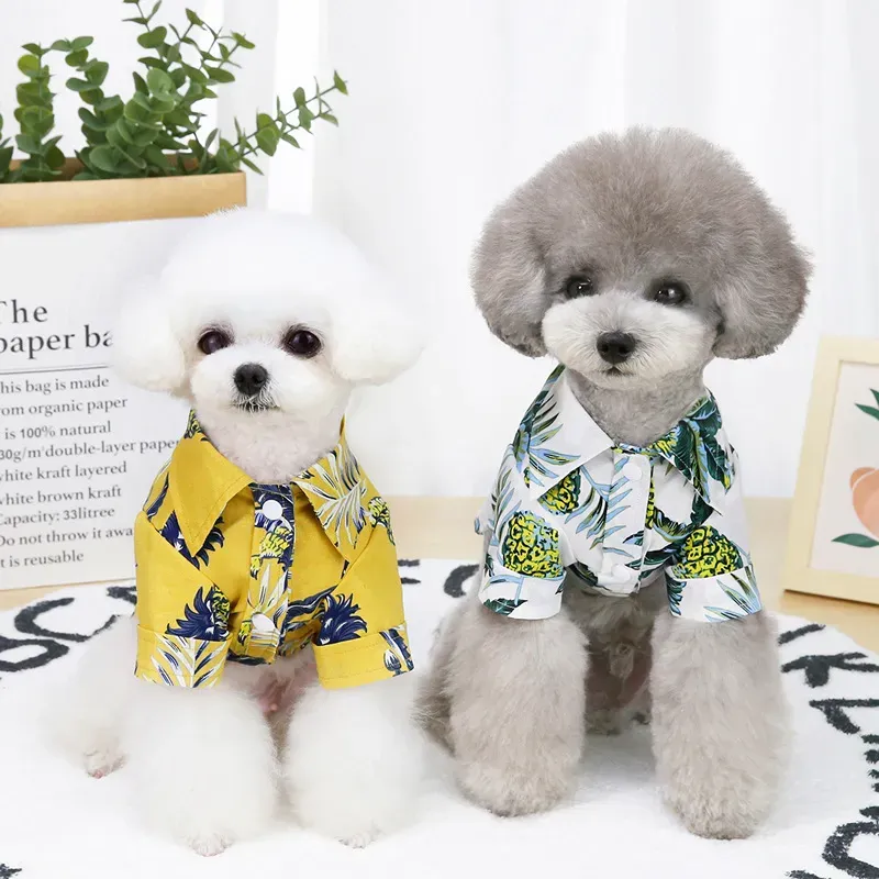 Camicie estive per cani Camicette Top modello Hawaii Coconut Tree Cappotto per cuccioli Giacca Abbigliamento Cani Abbigliamento Abbigliamento Giallo Bianco volontà e sabbia