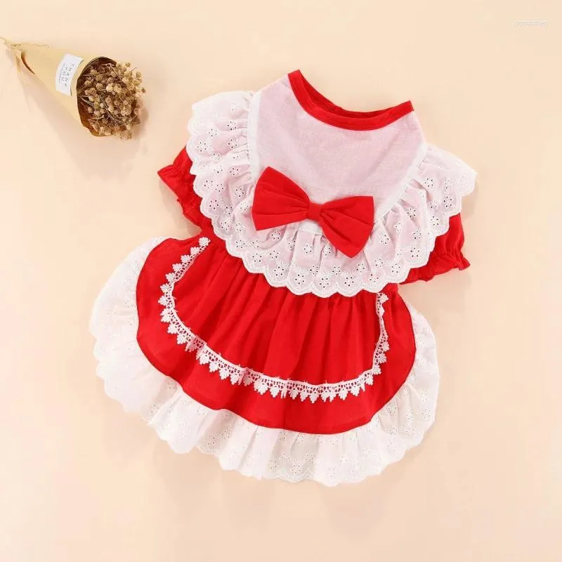 Hundebekleidung Haustiere Kleidung Sommer Pomeranian Bichon Frise Pudel Schnauzer Kleidung Hochzeit Rock Tutu Drop Kostüm Outfit